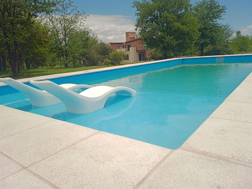 - deux chaises blanches installées dans une piscine dans l'établissement DelViento Cabañas, à Las Rabonas