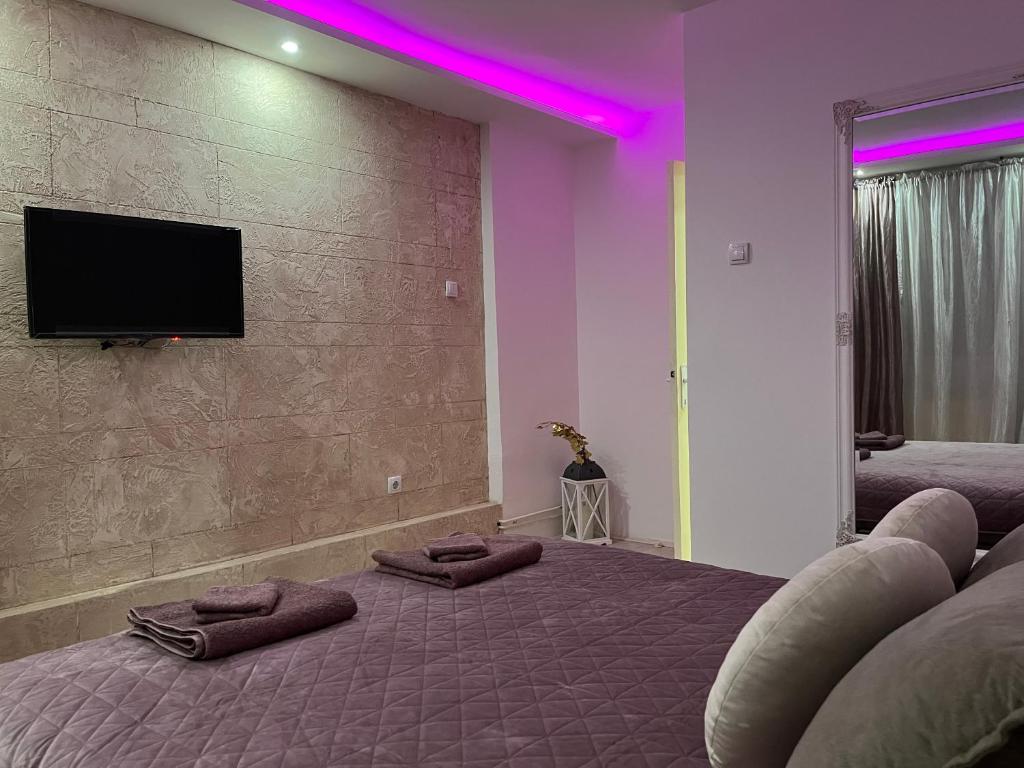 TV a/nebo společenská místnost v ubytování Apartman Rose