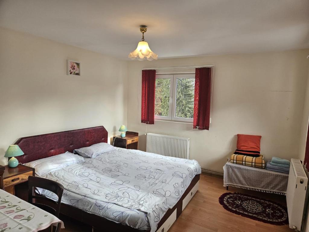 une chambre avec un lit et une fenêtre dans l'établissement Apartament Retro-relax, à Sinaia