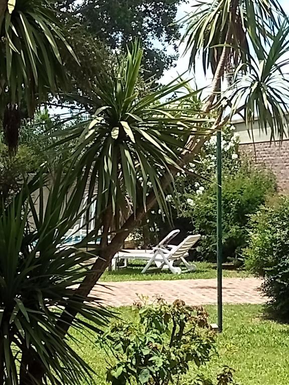 Quinta