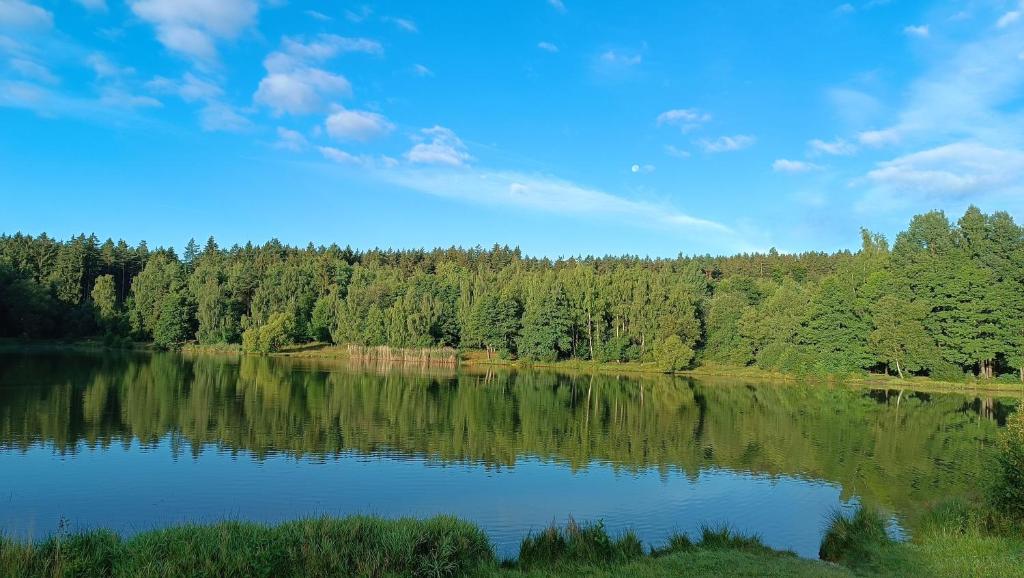 Příroda nedaleko apartmánu