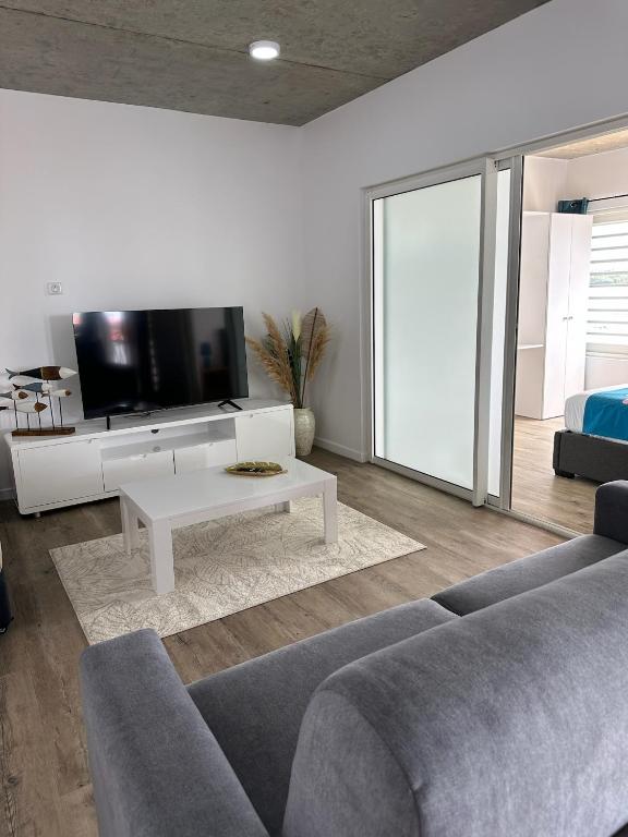 TV a/nebo společenská místnost v ubytování Pension Irivai, appartement UO UO 3 chambres vue mer