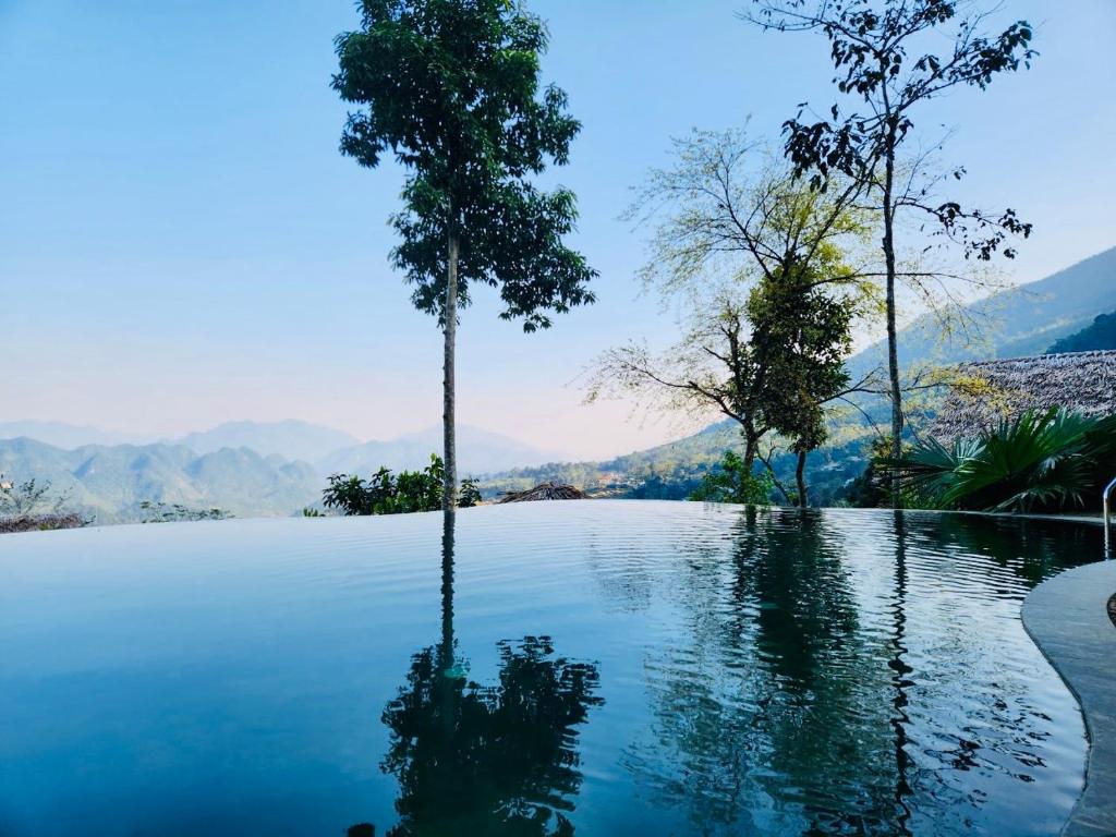 a infinity pool with a tree in the middle at Thiên đường in Hương Bá Thước