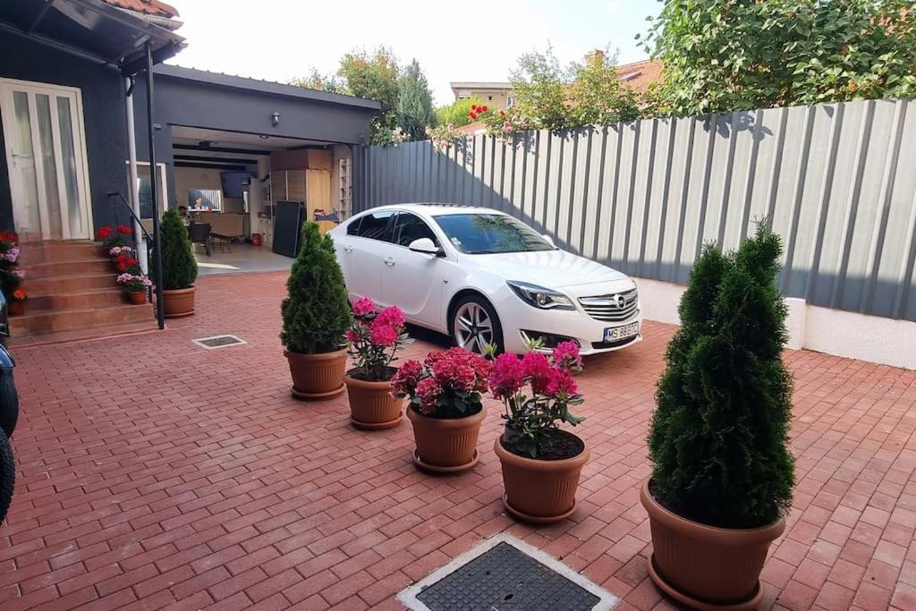 a white car parked in a driveway with potted plants at The Train Stop in Târgu-Mureş
