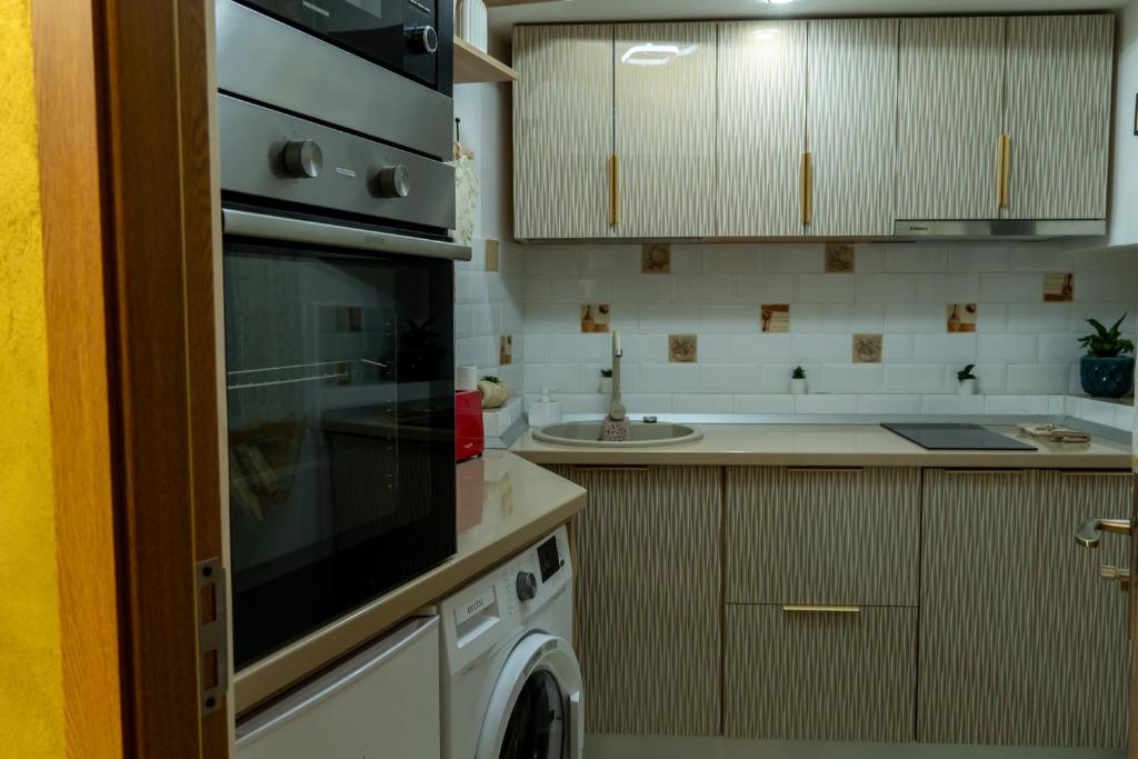 Kuchyň nebo kuchyňský kout v ubytování Apartament Lucas
