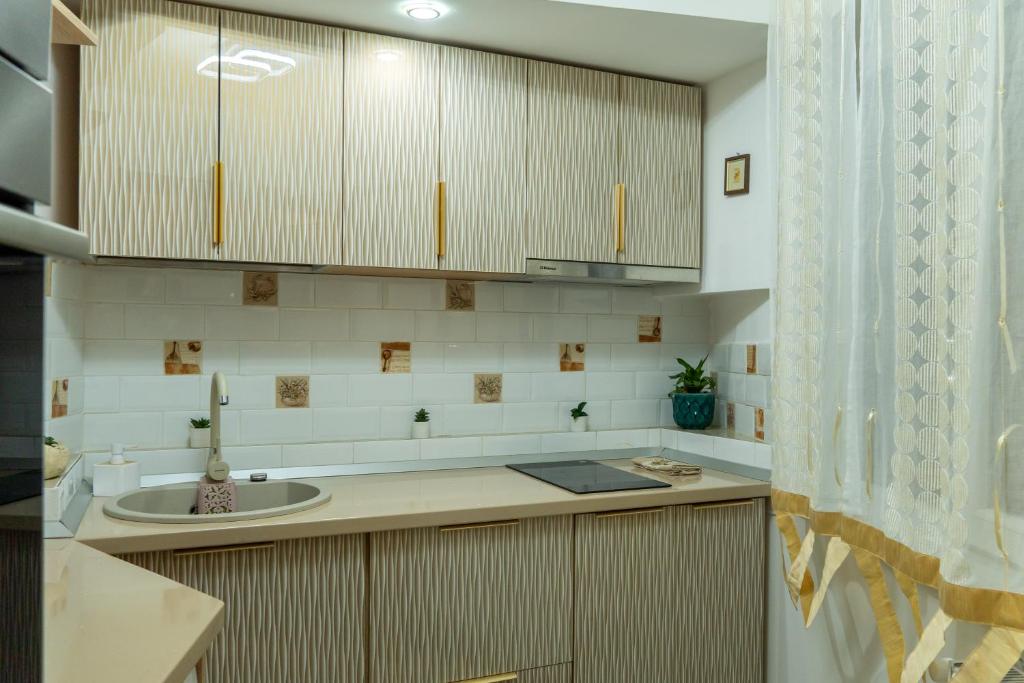 Kuchyň nebo kuchyňský kout v ubytování Apartament Lucas