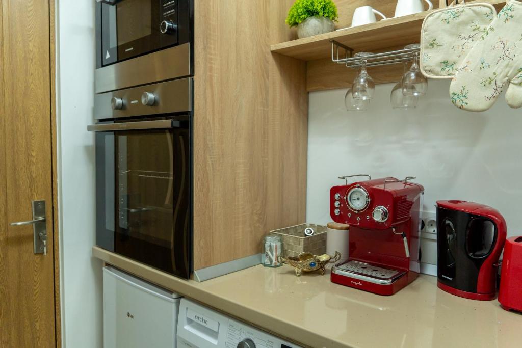 Kuchyň nebo kuchyňský kout v ubytování Apartament Lucas