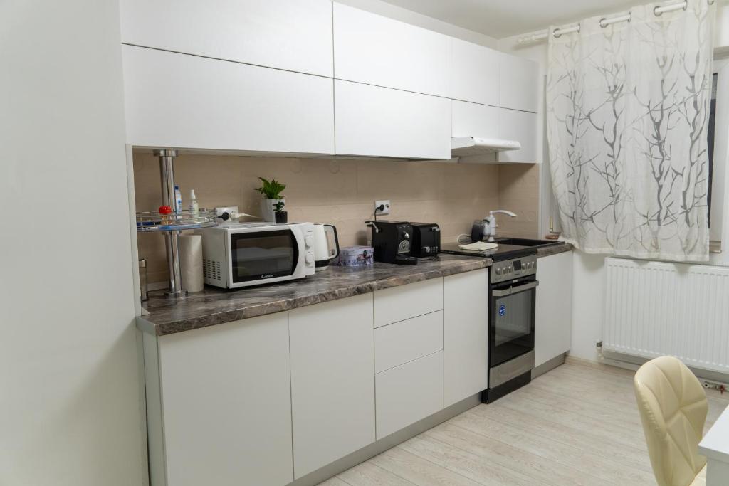 Kuchyň nebo kuchyňský kout v ubytování Apartament Lucas