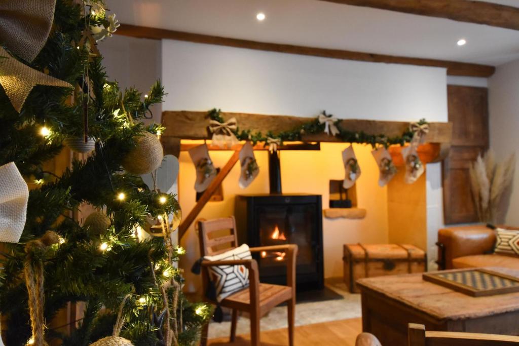 salon z choinką świąteczną i kominkiem w obiekcie La Maison de Blanche , Charme et Caractere Aveyron w mieście Luc