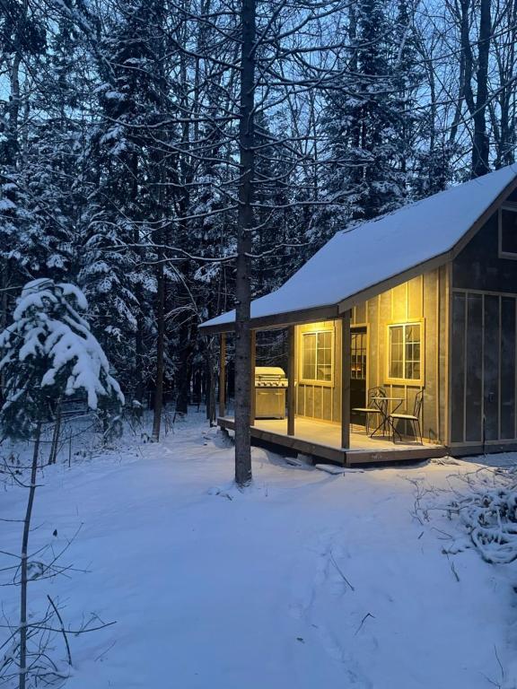domek w lesie w śniegu w obiekcie Tiny Home Bliss w mieście Harcourt