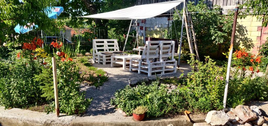 Zahrada ubytování Apartmani Popović