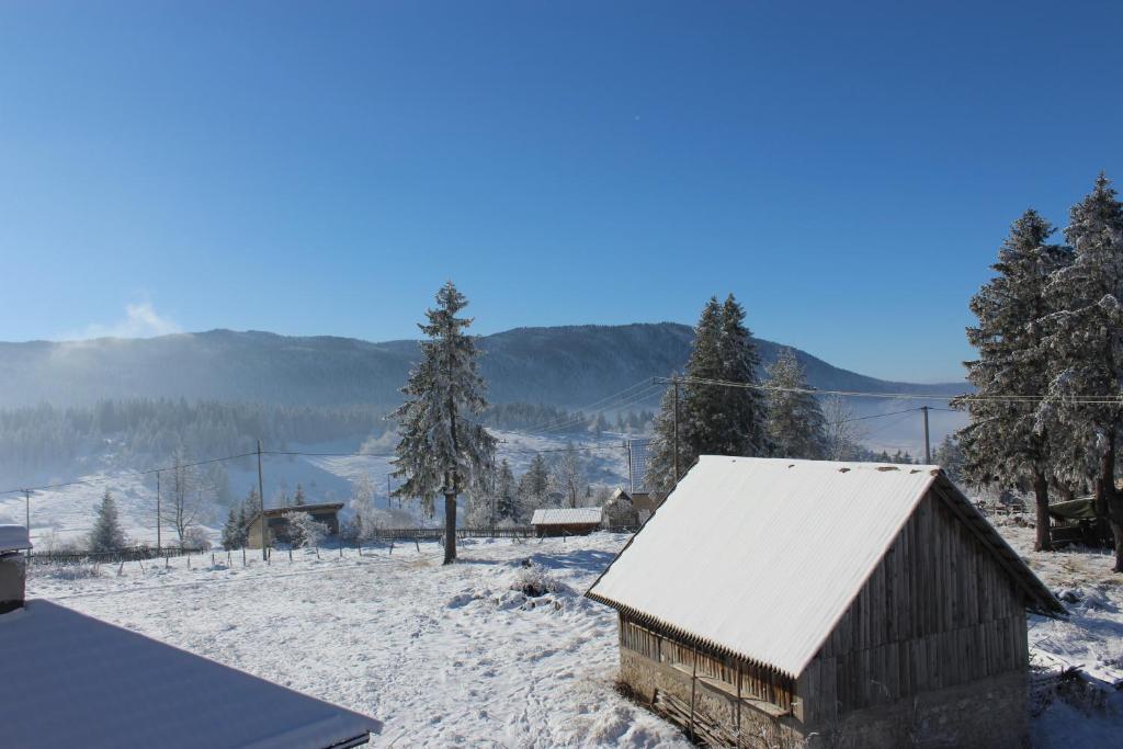 Příroda nedaleko apartmánu