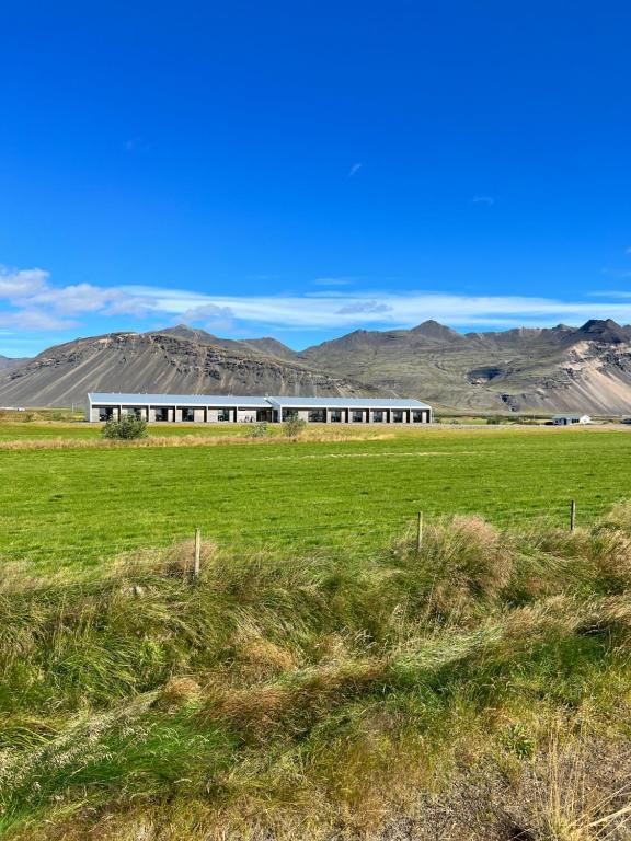 a building in a field with mountains in the background at Seljavellir Guesthouse in Höfn