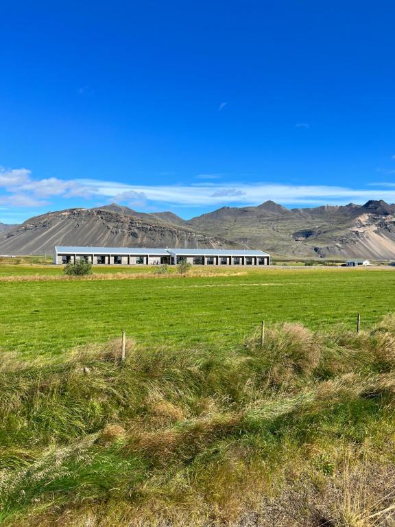 Náttúran í nágrenni gistihússins