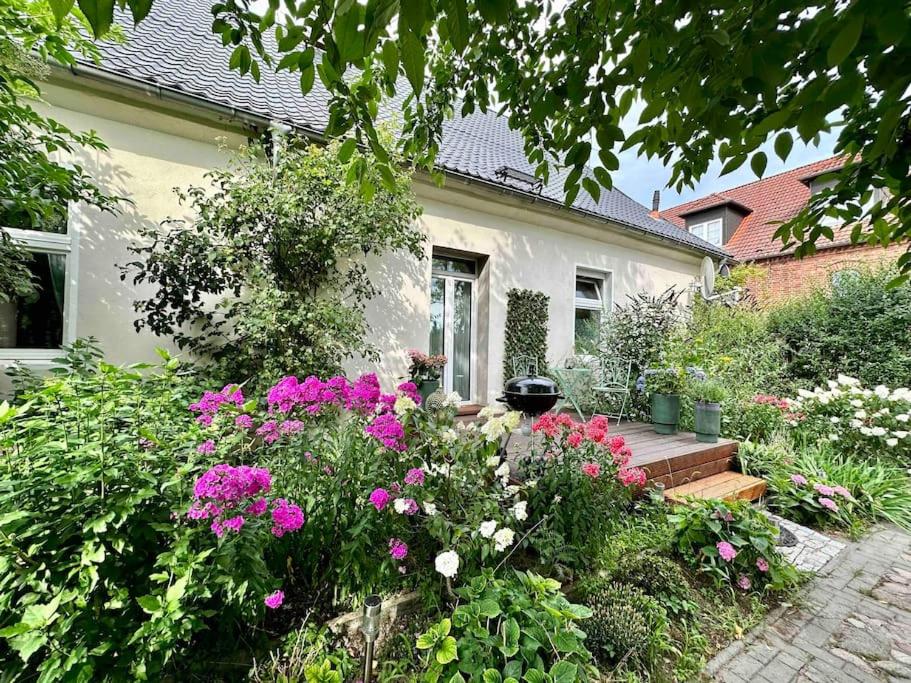 Apartment Ferienwohnung zu vermieten, Vielitzsee, Germany