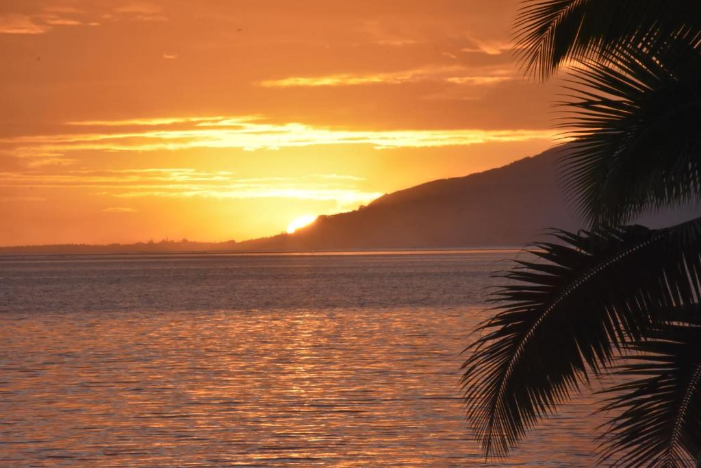 um pôr-do-sol sobre a água com uma palmeira em Bungalow Faré Uta Vairao em Vairao