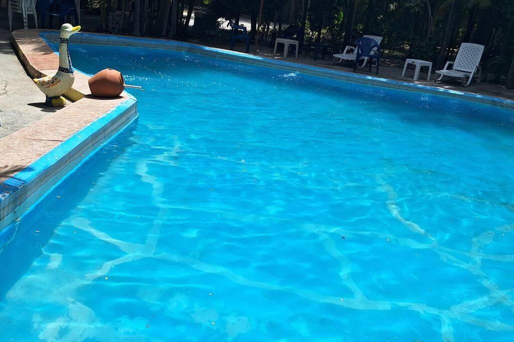 una piscina con agua azul y sillas en Apartamento pisó 1 parqueo, piscina, terraza y más en Azua de Compostela