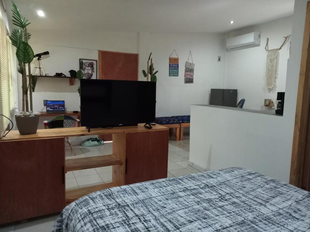 TV a/nebo společenská místnost v ubytování Hotel Cabañas Safari