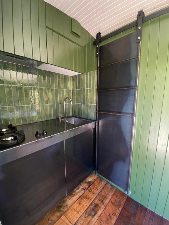 cocina con paredes verdes, fregadero y encimera en The Box Car with Outdoor Private Bath, en Closeburn