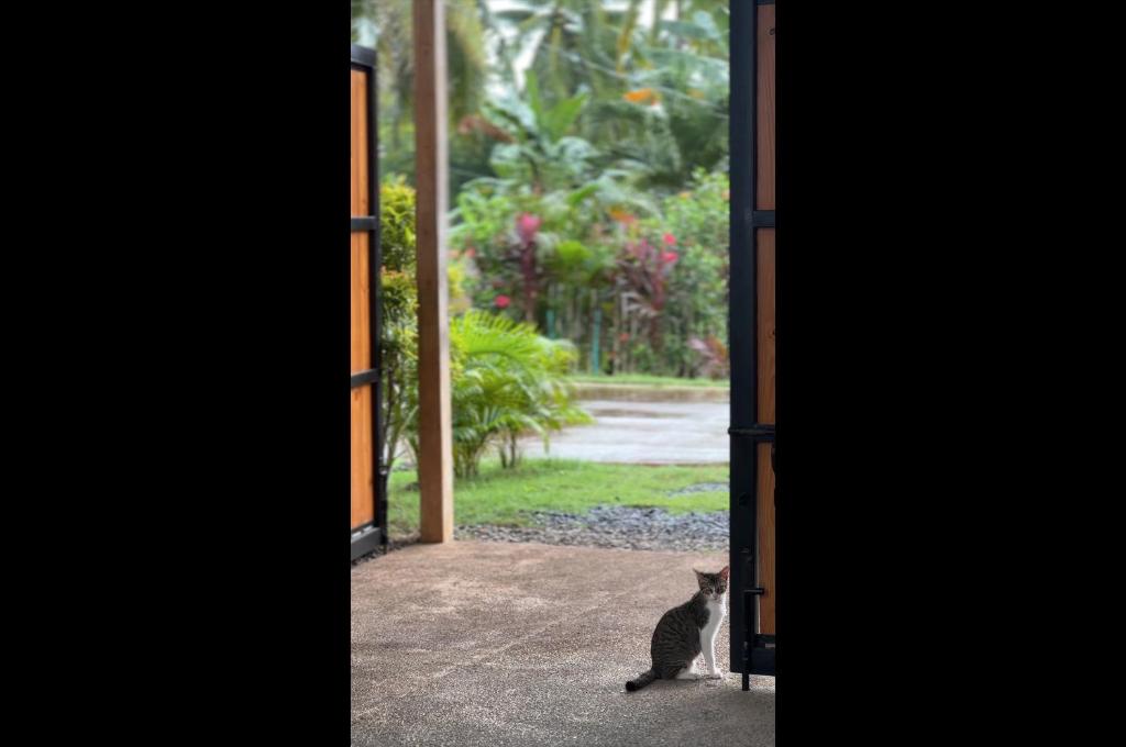 Fotografie z fotogalerie ubytování La Pang Resort 라팡리조트 v destinaci Panglao