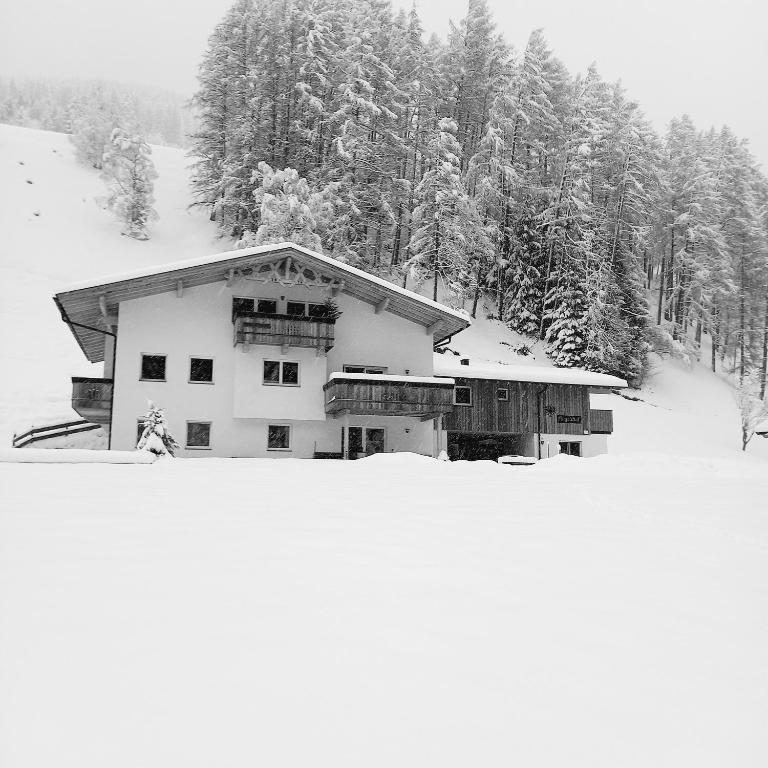 Nagelehof Apartment Blaser v zimě