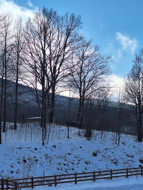 SUNNY HILL , KOWARY v zime