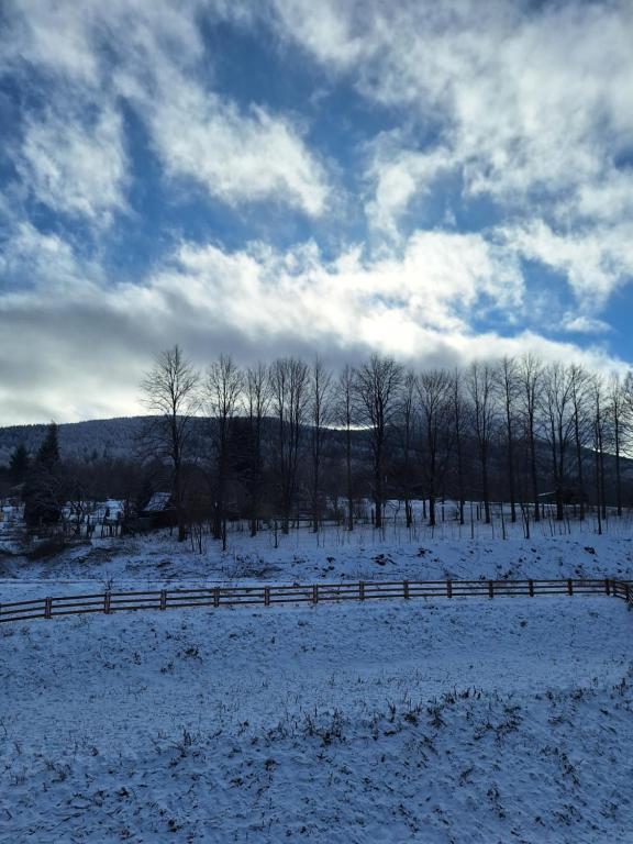 SUNNY HILL , KOWARY v zime