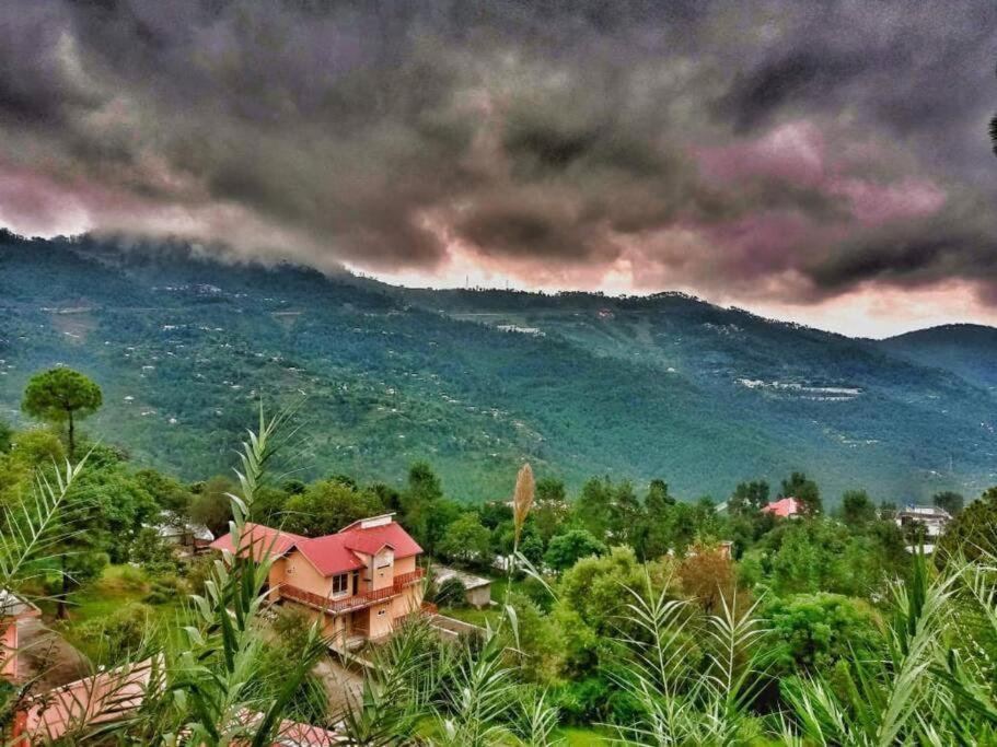 una casa en medio de un bosque con una montaña en Roof Top Resort en Murree