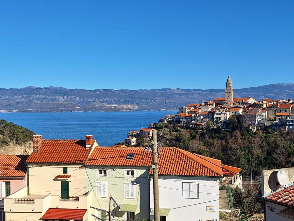 a group of houses on a hill next to the water at Apartmani Marin1 in Vrbnik