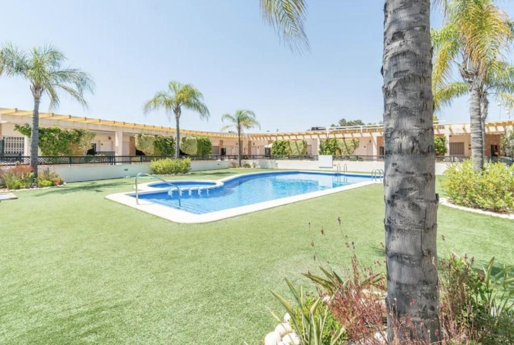 una piscina en un patio con palmeras en Cielo Azul, en Campoamor