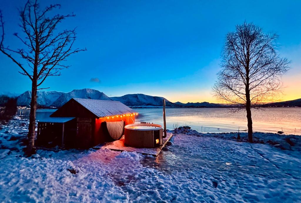 House by the Sea, Sortland (updated prices 2026)