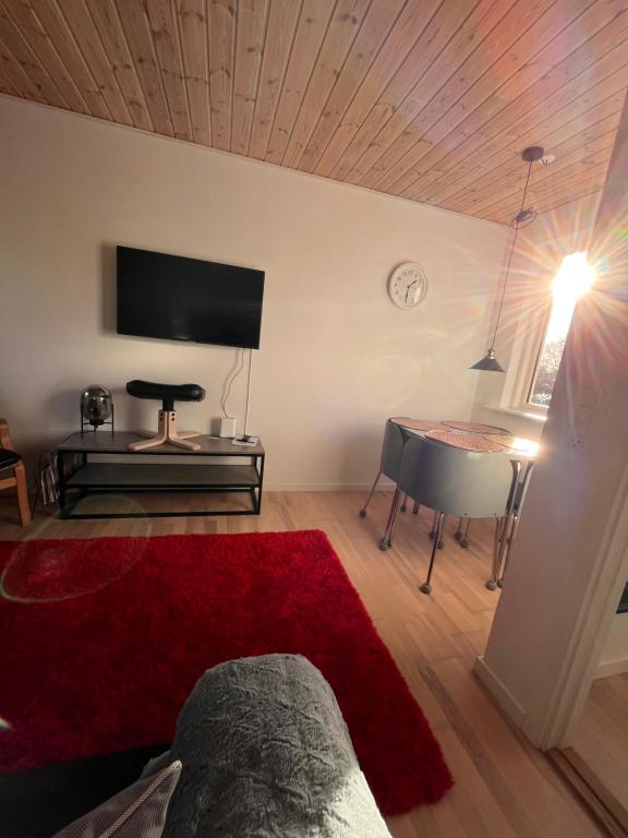 TV a/nebo společenská místnost v ubytování Hyggelig lejlighed i Rinkenæs
