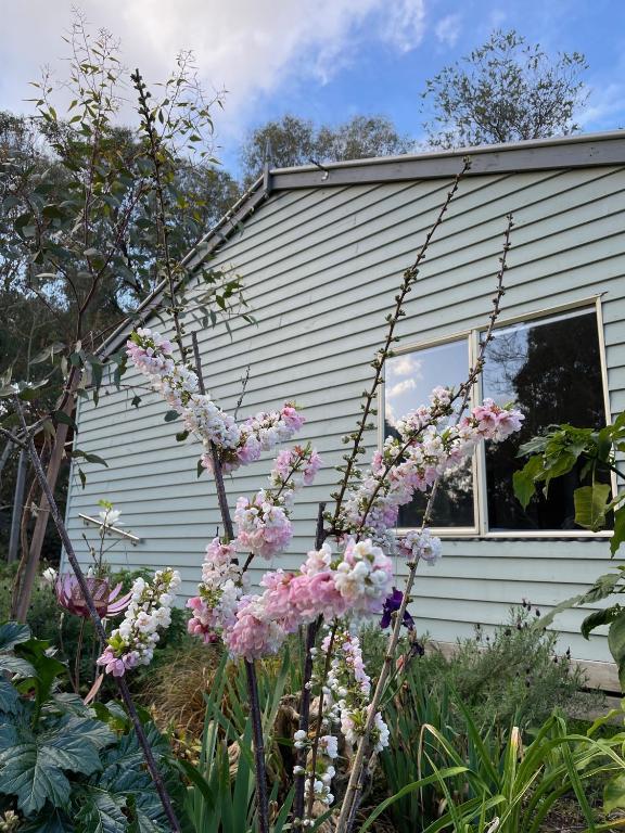 Tindoona Cottages - Casa De Vacaciones