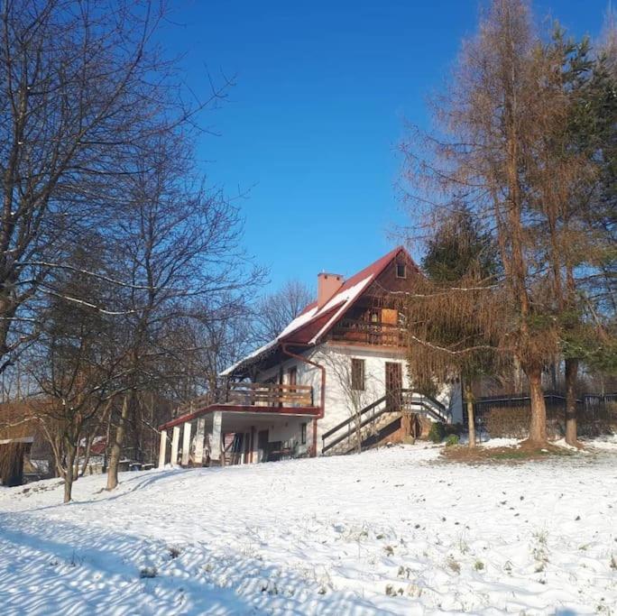 a house in the snow with trees in front of it at Przystanek Zawadka in Zawadka