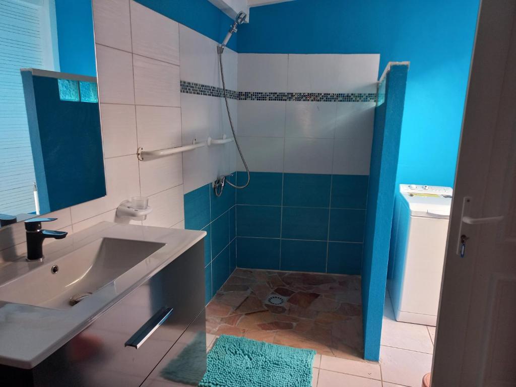 Koupelna v ubytování Joli appartement