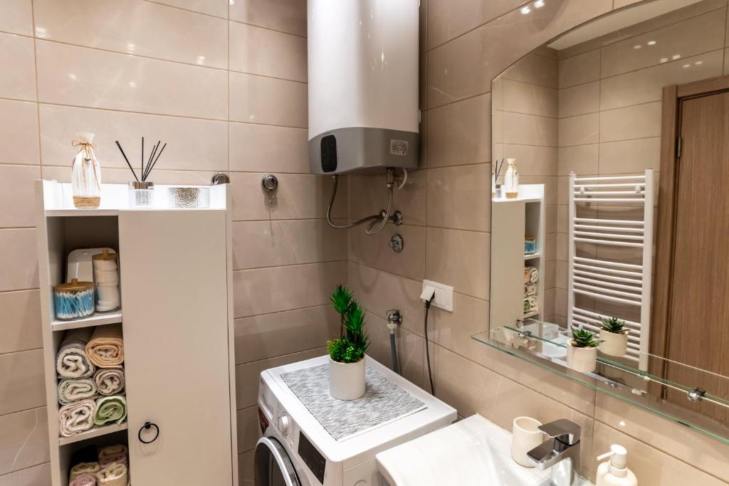 Koupelna v ubytování Apartman AuRa