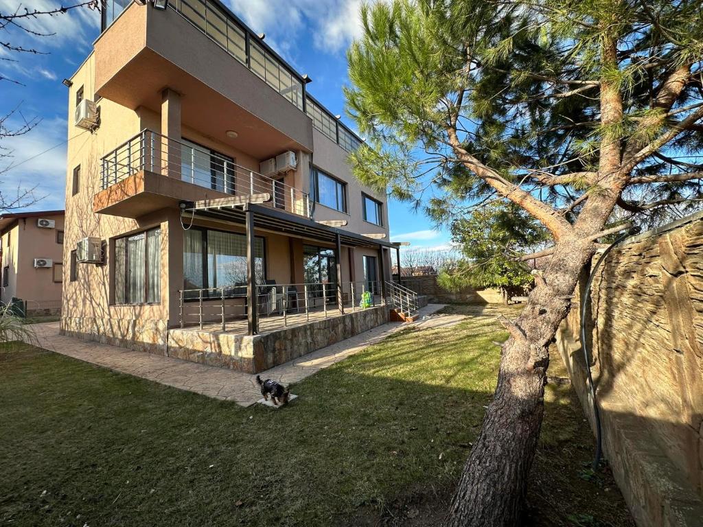 a dog sitting in the grass in front of a house at Вила Маунтайн Вю in Brestnik