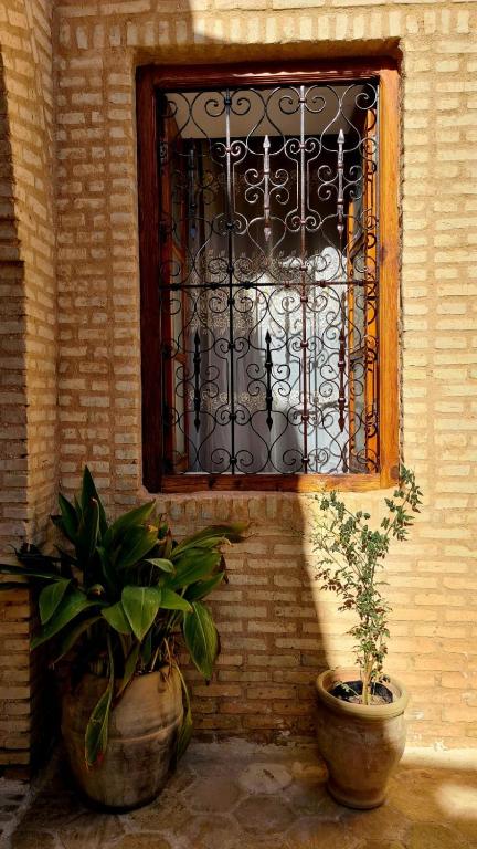 Fotografie z fotogalerie ubytování Maison de Vacances "Dar Khalifa" v destinaci Tozeur
