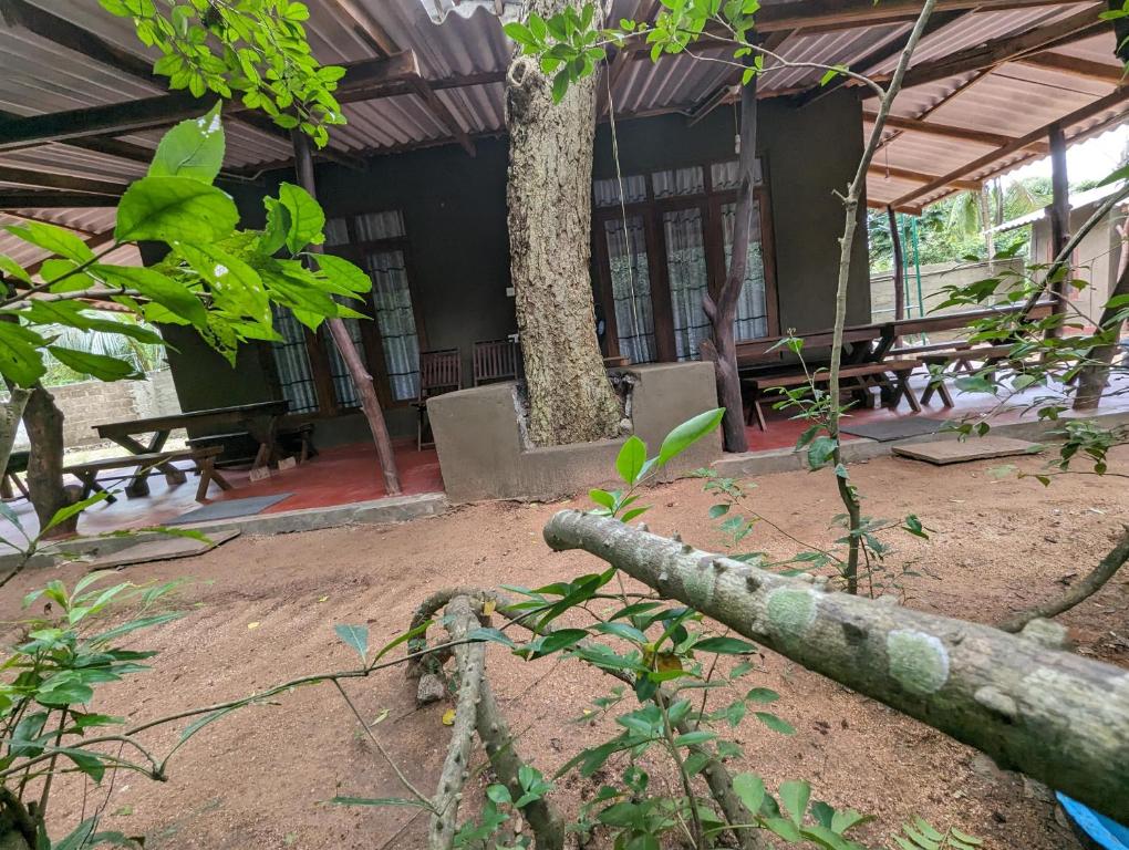 Zahrada ubytování Wilpattu Mookalan Resort