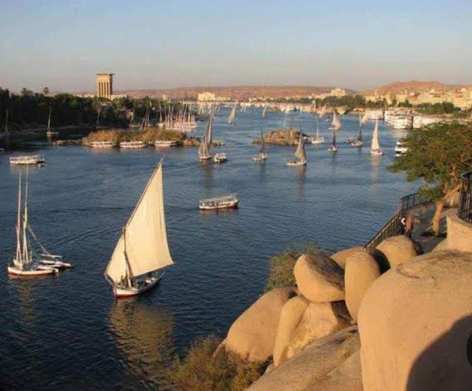 a group of boats on a river with sailboats at القارب في نهر النيل in Aswan