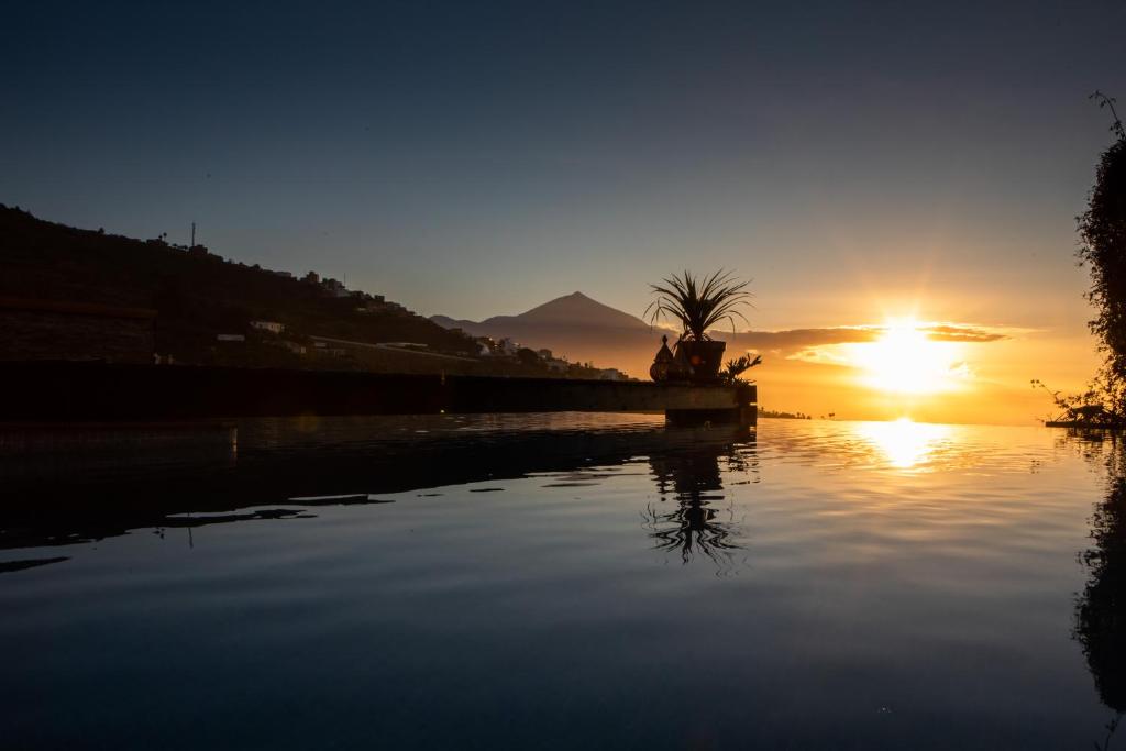 a sunset over a body of water with a palm tree at Apartamento Teide Piscina Climatizada in Sauzal