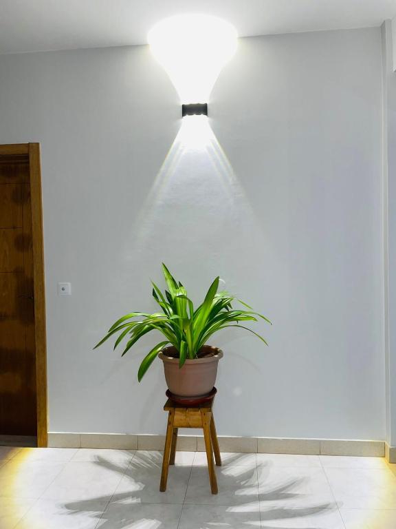Fotografie z fotogalerie ubytování Residencial Sol Point Art v destinaci Ponta do Sol