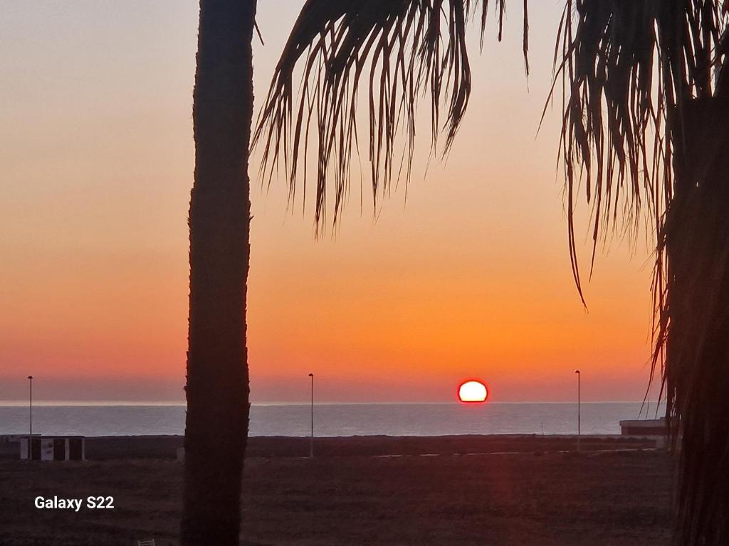 einen Sonnenuntergang am Strand mit einer Palme in der Unterkunft Marveo in La Oliva