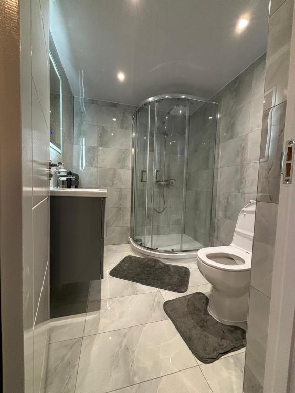 La salle de bains est pourvue d'une douche en verre et de toilettes. dans l'établissement Newly Build 2BR Property with free parking, à High Wycombe