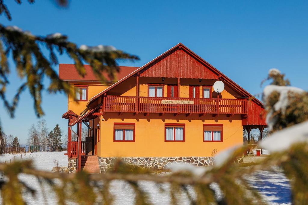 uma casa grande com um telhado vermelho na neve em Cabana Rus-Beliș em Dealu Negru