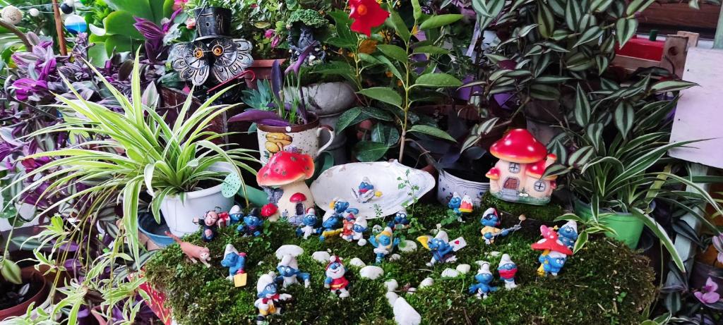 Ogród w obiekcie Nel giardino di Oz