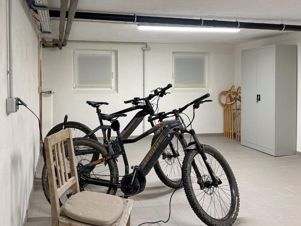 Jízda na kole v ubytování Haus Meerten nebo okolí