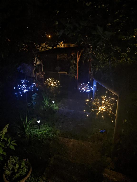 Ogród w obiekcie Nel giardino di Oz