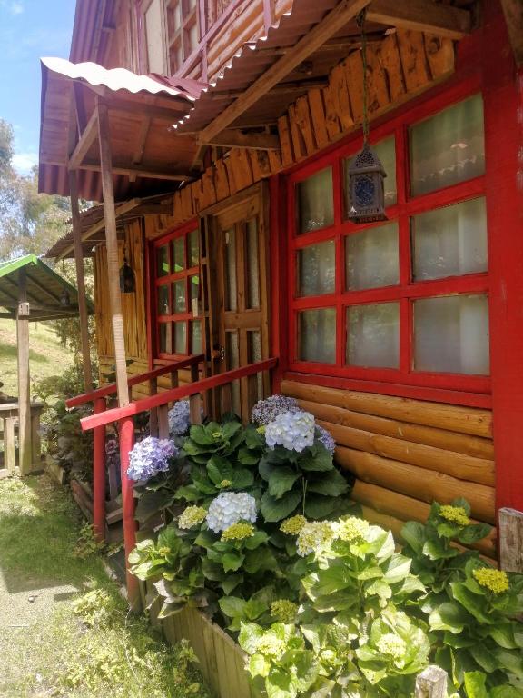 Zahrada ubytování Finca Hotel Nutabes