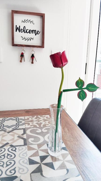 Apartamento Burgo "Tanoeiros" - 12